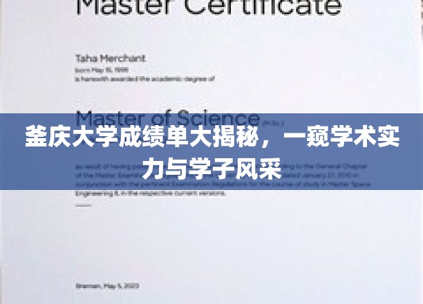 釜庆大学学子成绩单背后的学术魅力与青春风采全解析