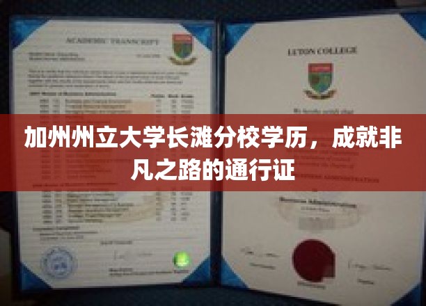 加州州立大学长滩分校学历，成就非凡之路的通行证