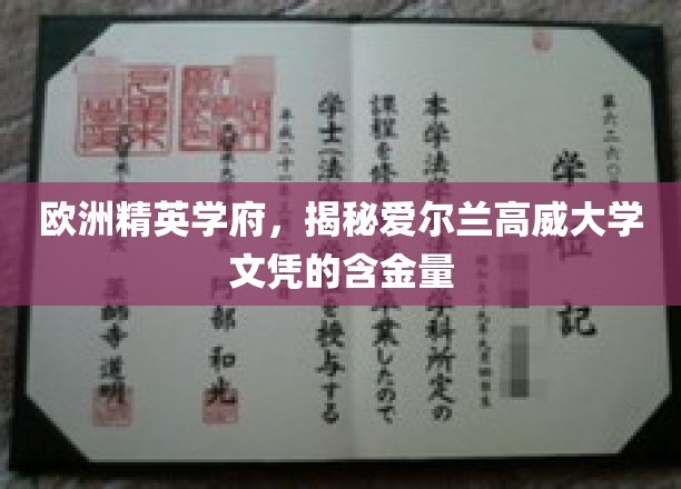 欧洲精英学府，揭秘爱尔兰高威大学文凭的含金量