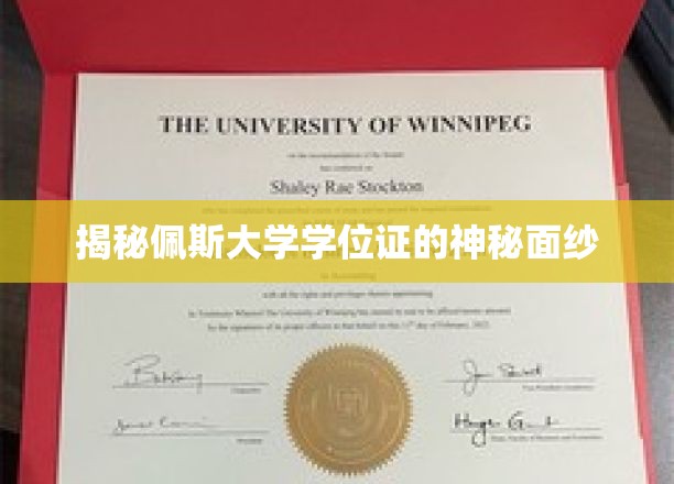 揭秘佩斯大学学位证书的神秘面纱
