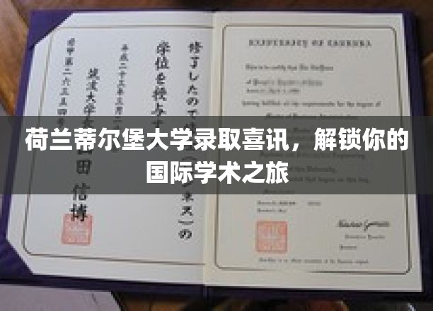 荷兰蒂尔堡大学录取喜讯，开启你的国际学术之旅