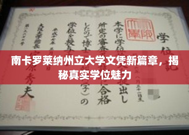 探索南卡罗莱纳州立大学新学位奥秘，开启学术成就新纪元