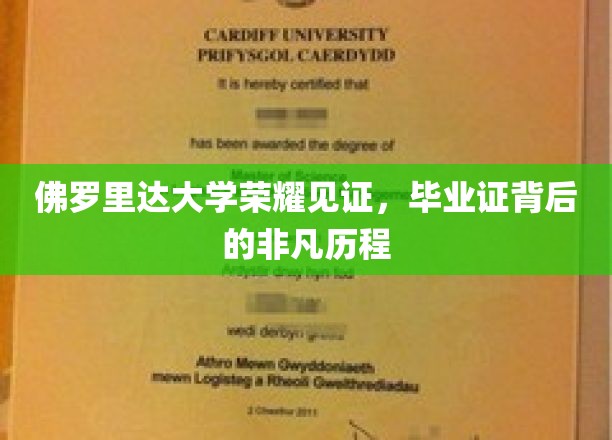 佛罗里达大学荣耀见证，毕业证背后的非凡历程
