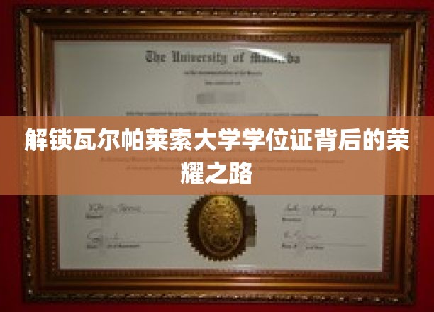 揭秘瓦尔帕莱索大学学位证背后的荣耀之路