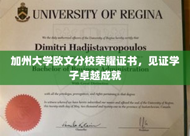 荣耀加冕，加州大学欧文分校学子卓越成就的璀璨证书