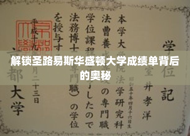 揭开圣路易斯华盛顿大学成绩单神秘面纱