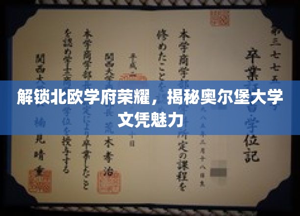 北欧教育之光，奥尔堡大学学位背后的独特魅力