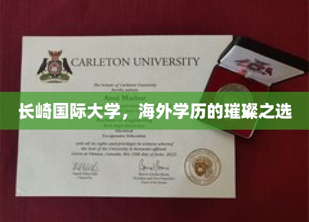 探索国际视野，长崎国际大学，海外学历的璀璨明珠