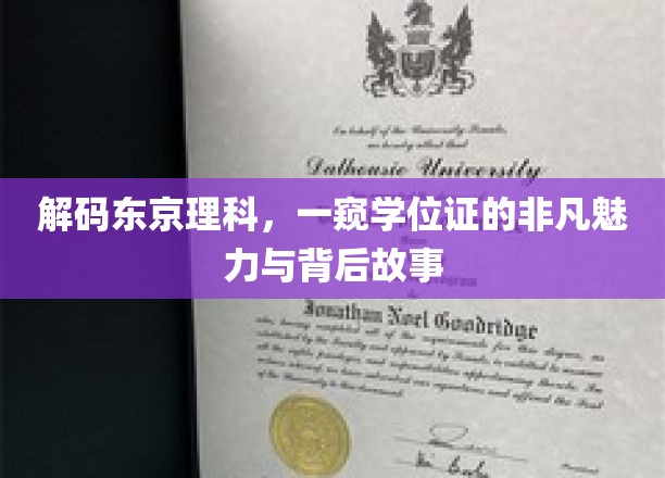 揭开东京理科大学学位证的秘密，探寻学历背后的传奇故事