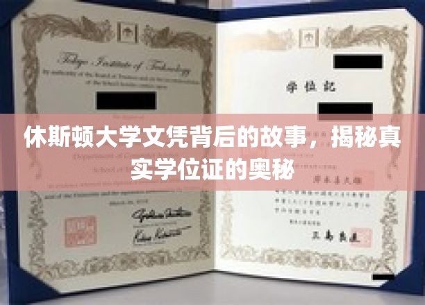 揭秘休斯顿大学文凭之谜，学位证的背后真相