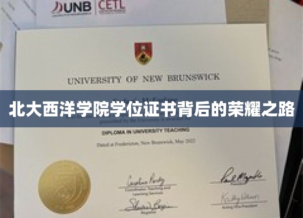 北大西洋学院学位证书，揭开荣耀背后的求学传奇