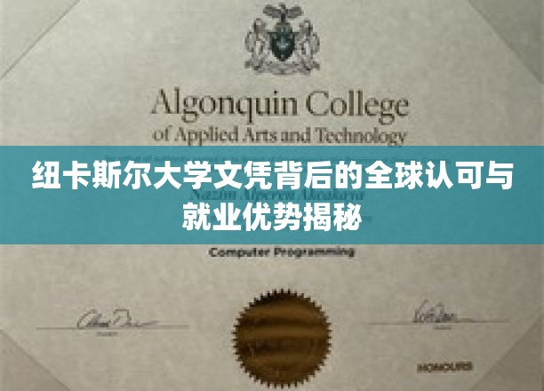 纽大文凭全球通行证，解码国际职场竞争优势