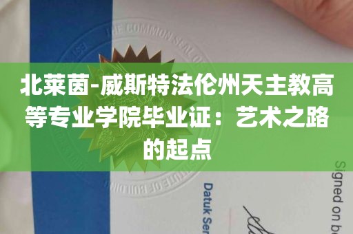 北莱茵-威斯特法伦州天主教高等专业学院毕业证：艺术之路的起点