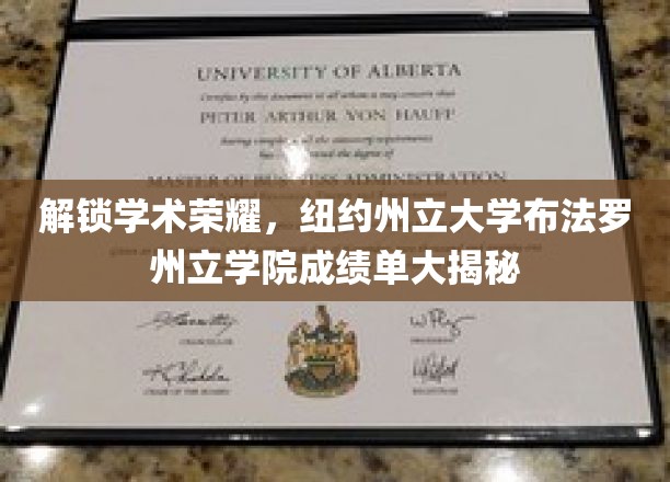 解锁学术巅峰，纽约州立布法罗学院成绩单背后的故事揭晓