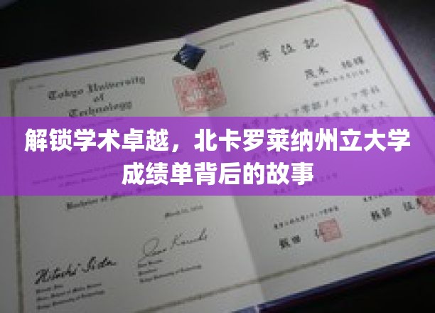 解锁学术卓越，北卡罗莱纳州立大学成绩单背后的故事