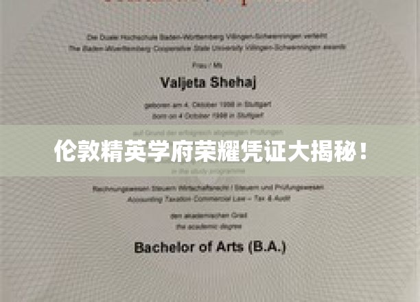 探寻伦敦顶尖学府的荣耀印记，揭秘精英学子背后的秘密宝藏