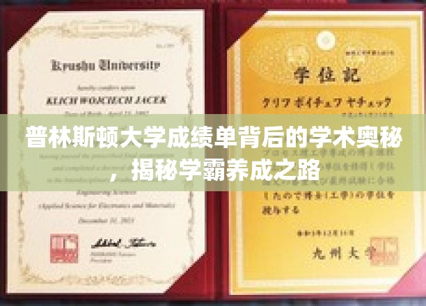 解码普林斯顿学霸秘籍，成绩单背后的学术传奇