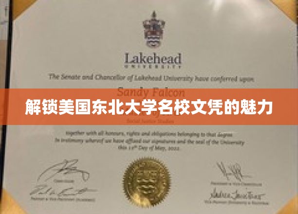 探寻东北大学学位的非凡价值与无限可能