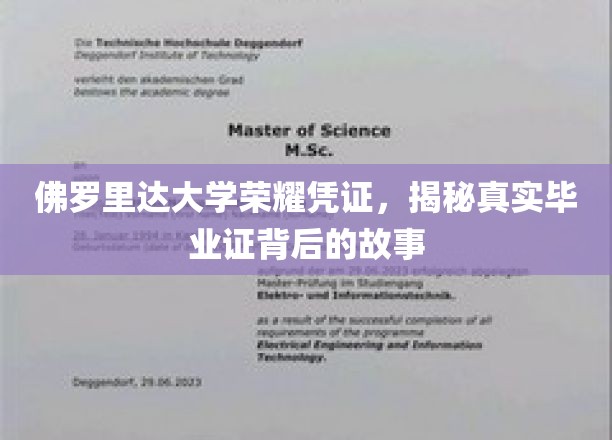 佛罗里达大学荣耀凭证，揭秘真实毕业证背后的故事
