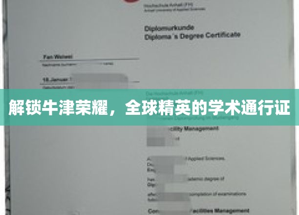 牛津之光，揭秘世界精英的学术护照