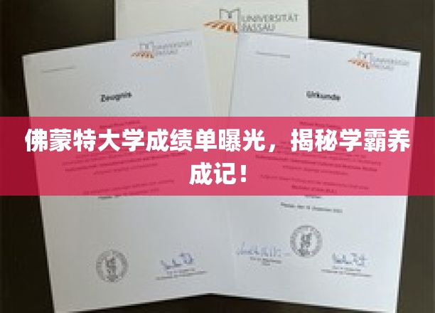 佛蒙特学霸养成大揭秘，独家成绩单曝光，学习秘籍全公开！