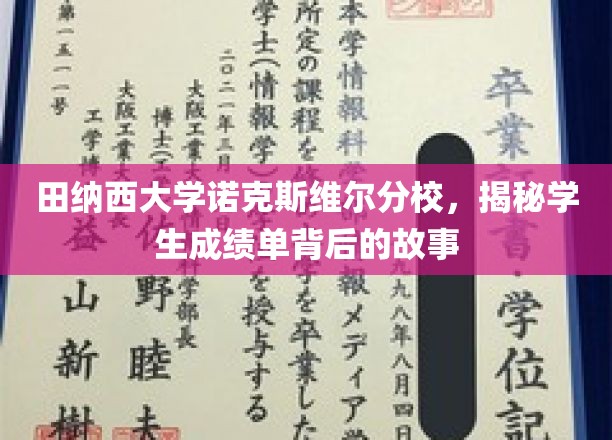 探寻田纳西大学成绩单背后的神秘面纱