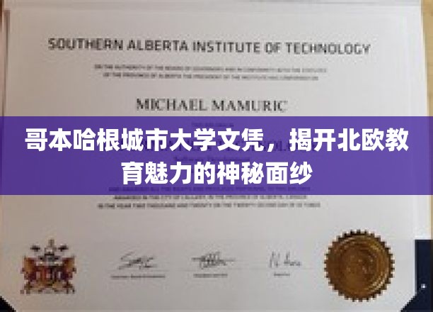 哥本哈根城市大学文凭，揭开北欧教育魅力的神秘面纱