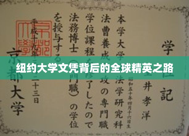 纽约大学文凭背后的全球精英之路