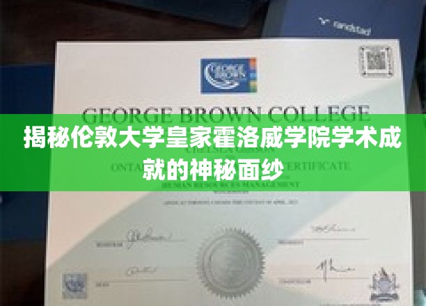 解锁伦敦大学皇家霍洛威学院学术辉煌的秘密之门