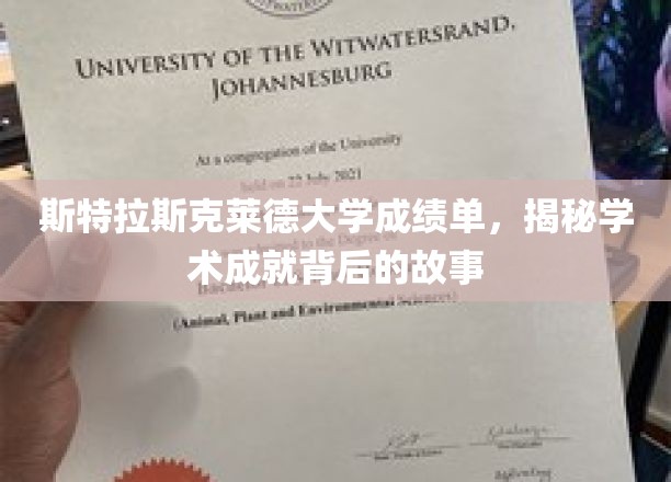 探寻斯特拉斯克莱德大学卓越成绩单背后的辉煌故事
