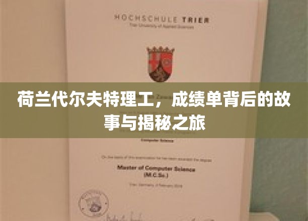 荷兰代尔夫特理工，成绩单背后的故事与揭秘之旅
