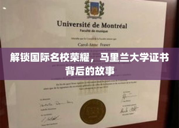 马里兰大学证书，揭秘荣耀背后的非凡历程