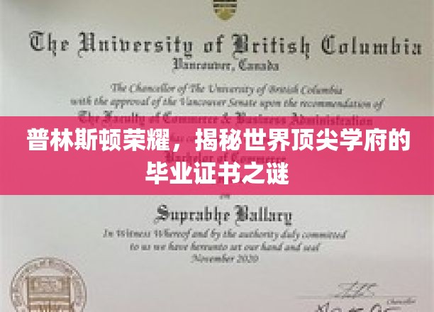 普林斯顿荣耀，揭秘世界顶尖学府的毕业证书之谜
