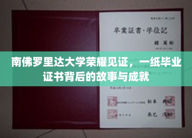 南佛罗里达荣耀瞬间，毕业证书背后的传奇人生