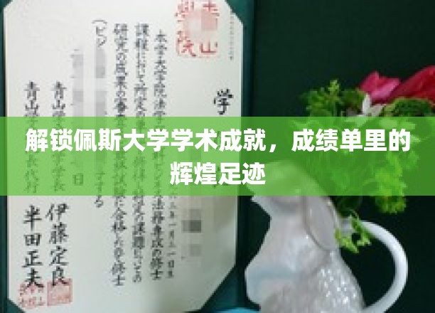探寻佩斯大学卓越篇章，揭秘学子成就背后的精彩轨迹
