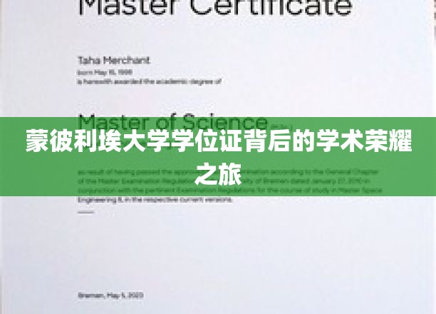 蒙彼利埃大学学位证背后的学术荣耀之旅