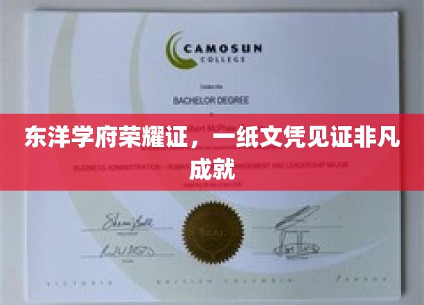 东方学府荣耀章，文凭背后的非凡之路