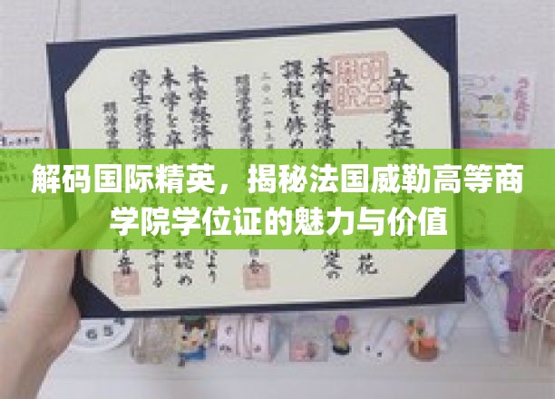 解码精英学位，法国威勒高等商学院证书的全球吸引力与职场优势