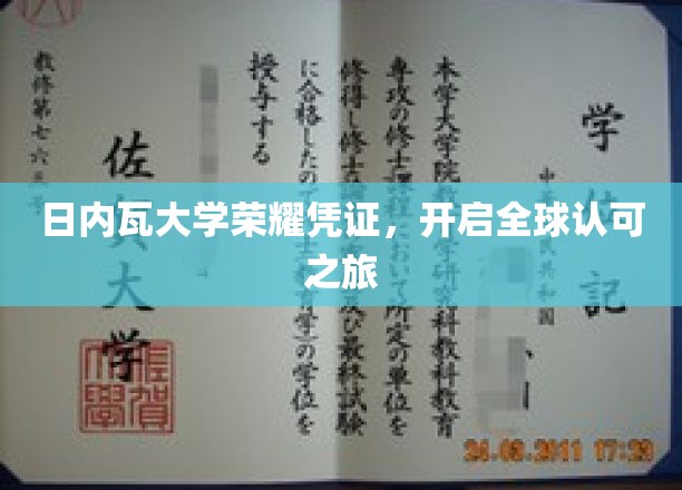 日内瓦大学荣耀通行证，引领国际学术新篇章