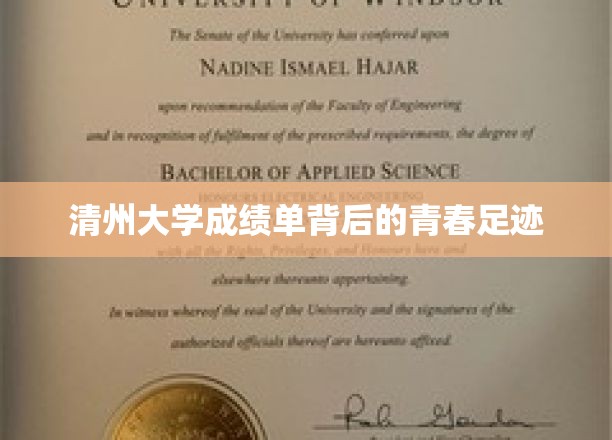 清州大学成绩单背后的青春足迹