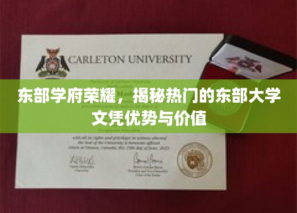 东海岸精英学府，解码热门东部大学文凭的含金量与未来价值