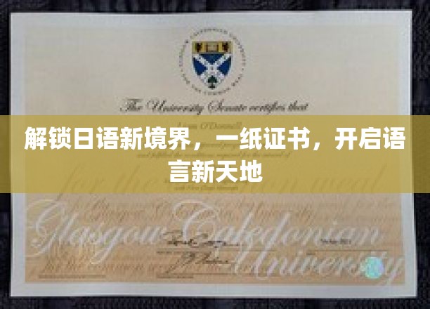 跨越语言界限，证书助你日语之旅畅行无阻