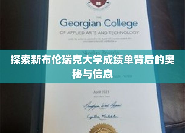 解码新布伦瑞克大学成绩单的隐藏秘密与深层信息