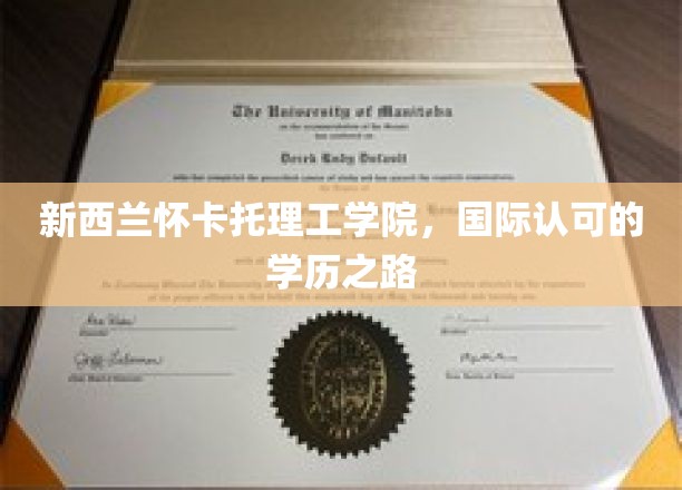 新西兰怀卡托理工学院，开启全球认可的学术旅程