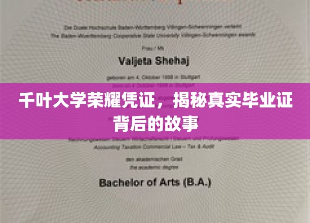 探寻千叶大学毕业证背后的荣耀之谜