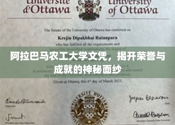 阿拉巴马农工大学荣耀揭秘，探寻成就背后的真实故事