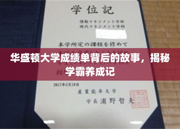 揭秘学霸之路，华盛顿大学成绩单背后的惊人真相