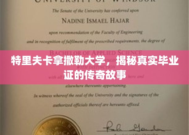 特里夫卡拿撒勒大学，揭开隐藏在毕业证背后的传奇之谜