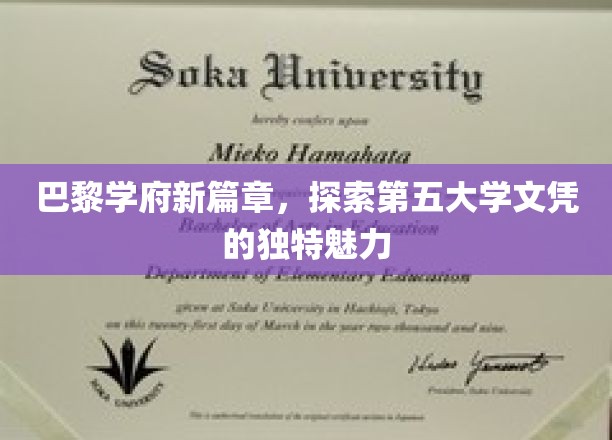 巴黎学府新纪元，第五大学文凭，揭秘教育界的新宠儿