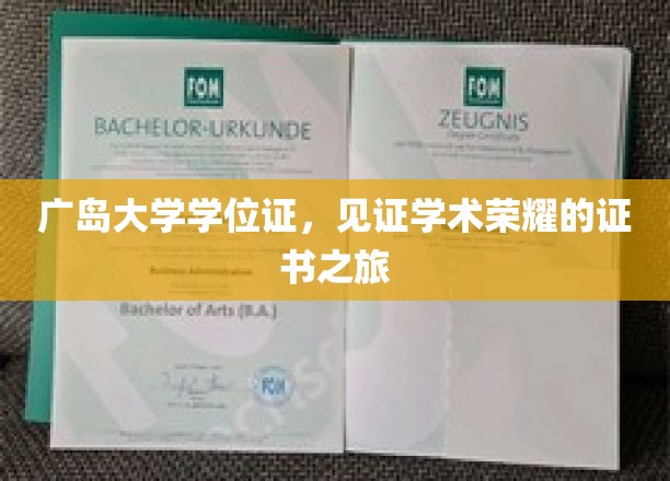 广岛大学学位证，见证学术荣耀的证书之旅